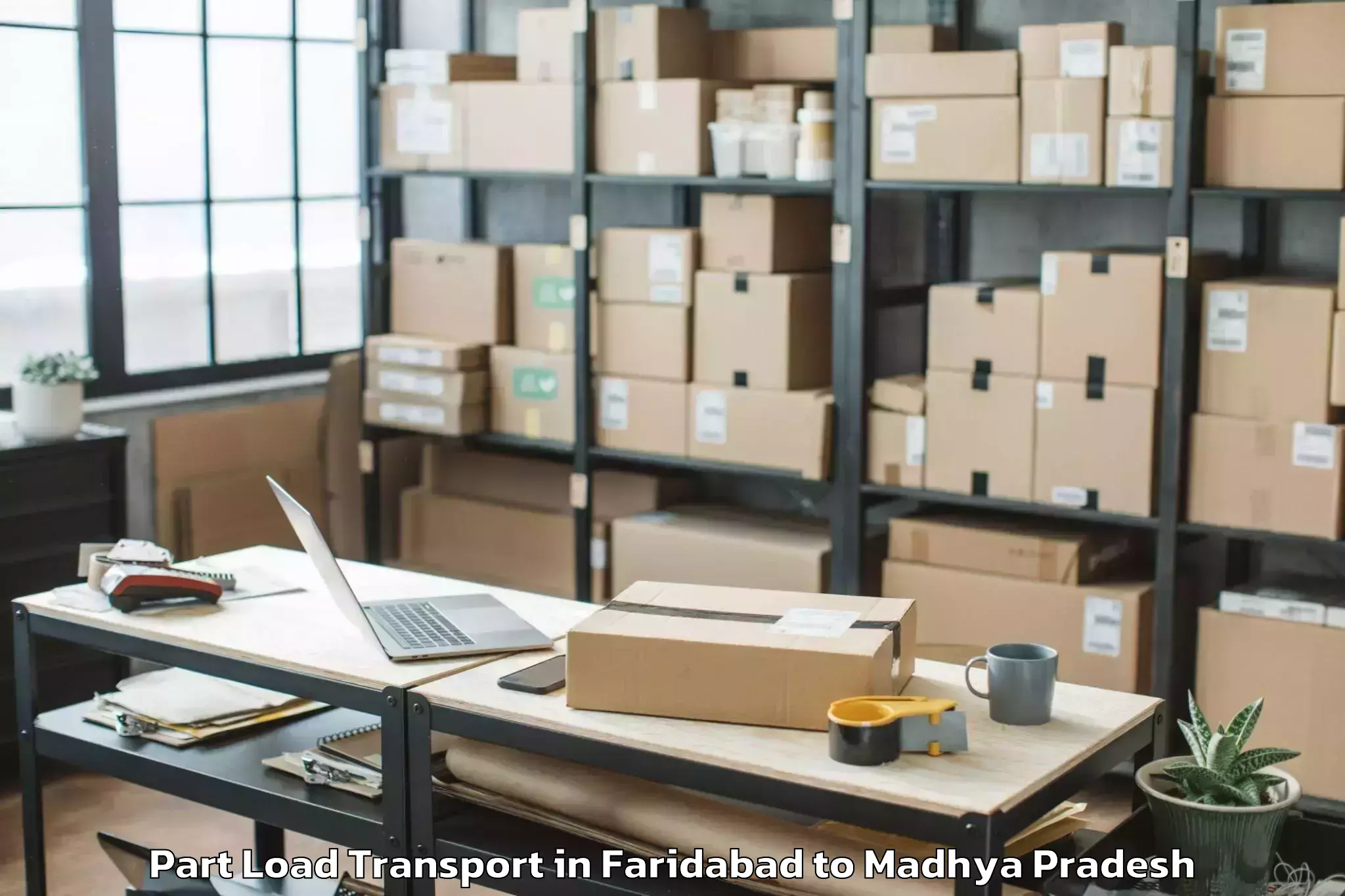 Expert Faridabad to Multai Part Load Transport